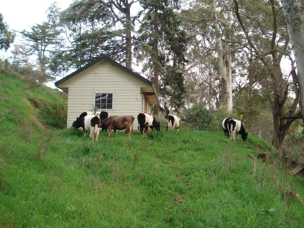 Havelock House Bed & Breakfast Havelock North Exterior photo